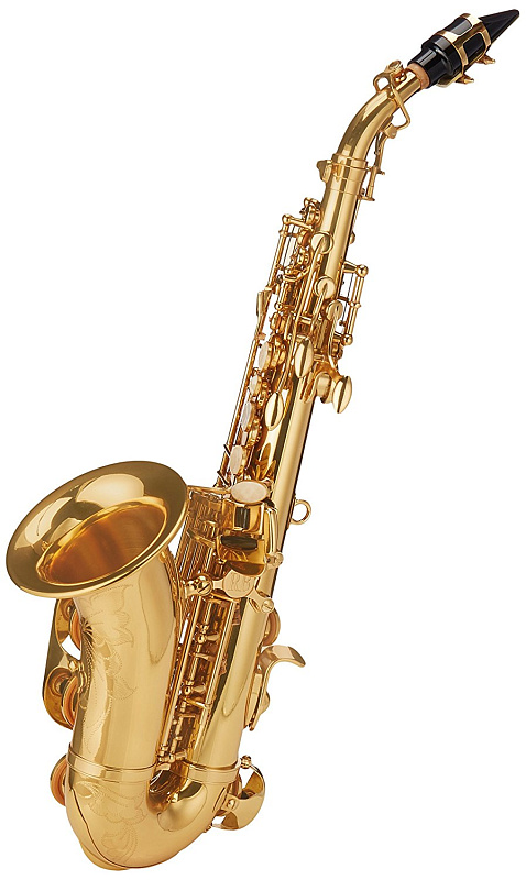 ROY BENSON SG-302 Bb в магазине Music-Hummer