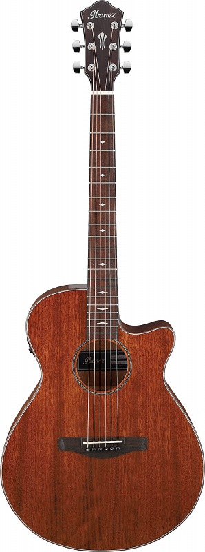 Электроакустическая гитара IBANEZ AEG220-LGS в магазине Music-Hummer