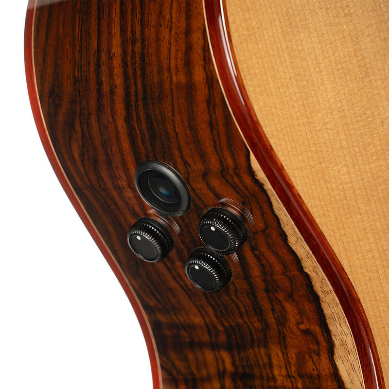 Фото Электроакустическая гитара Cort Gold-A10-Cocobolo-WCASE-NAT Gold Series