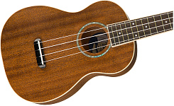 FENDER UKULELE ZUMA NAT