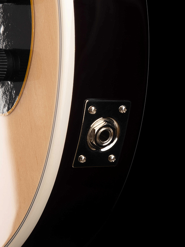 Фото Электрогитара Cort Sunset-Nylectric-NAT Sunset Series