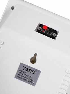 Громкоговоритель настенный TADS DS-638 в магазине Music-Hummer