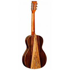 Электроакустическая гитара TANGLEWOOD TWJP E