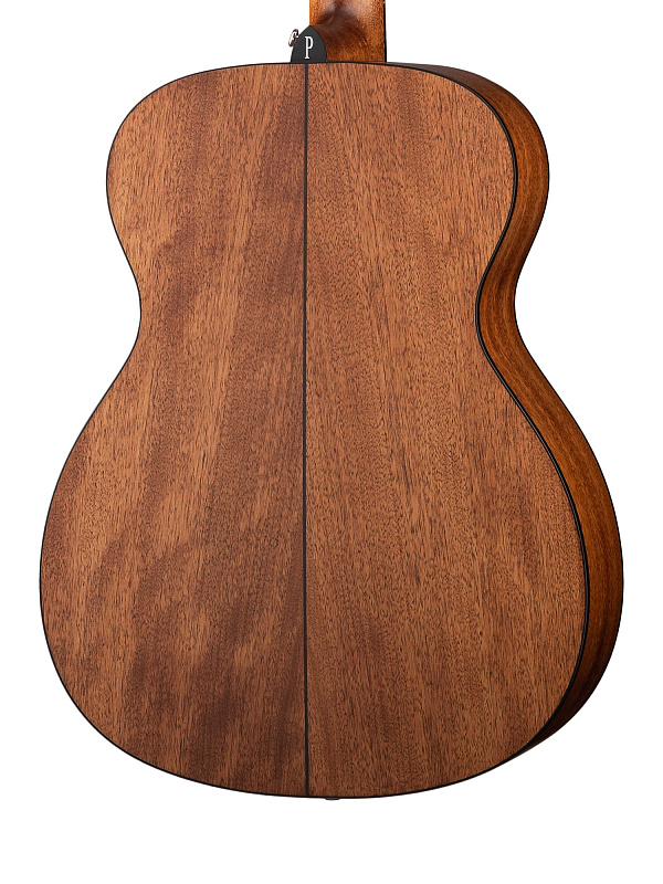 Фото Акустическая гитара Parkwood S22M-NS
