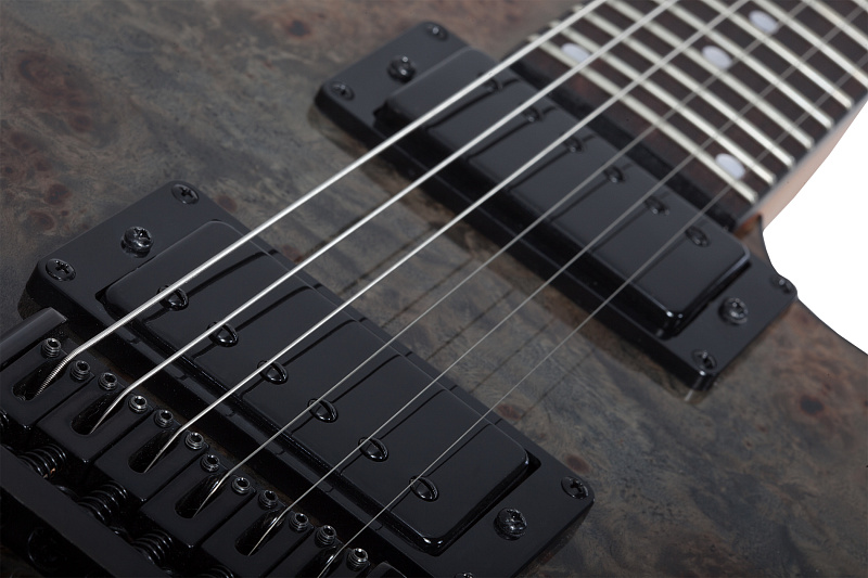 Фото Электрогитара Schecter C-1 STANDARD BFBB