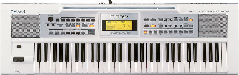 Синтезатор Roland E-09 в магазине Music-Hummer