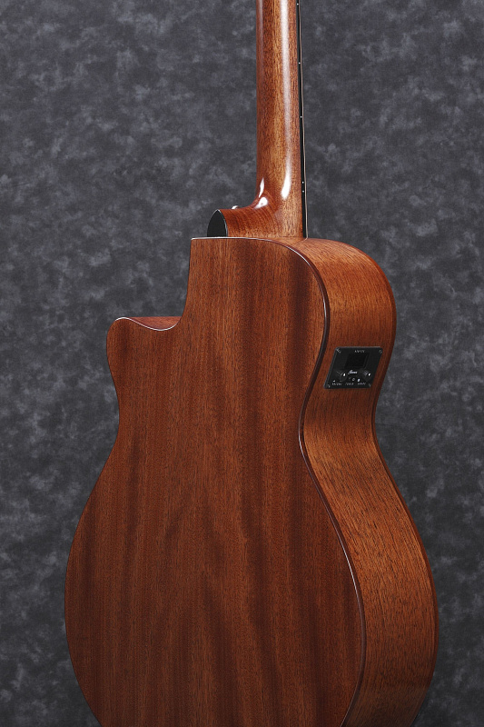 Электроакустическая гитара IBANEZ AEG220-LGS в магазине Music-Hummer