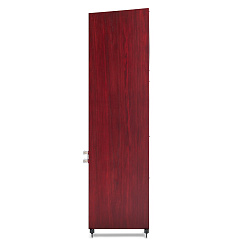 Напольная акустика Martin Logan Motion 60XTi Red Walnut