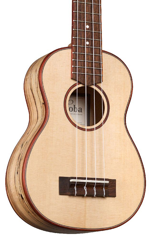 Фото CORDOBA 24S Spruce