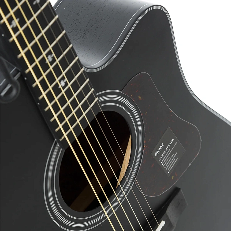 Фото Акустическая гитара Mantic AG-370C BK