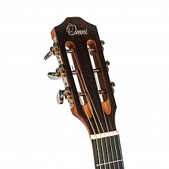 Акустическая гитара Omni P-250M