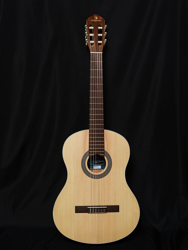 Фото Гитара классическая Livingstone Opera NA