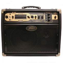 Peavey Ecoustic E110