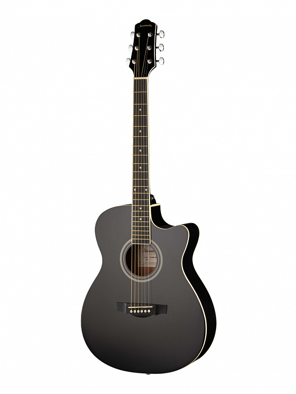 Акустическая гитара Naranda TG120CBK в магазине Music-Hummer
