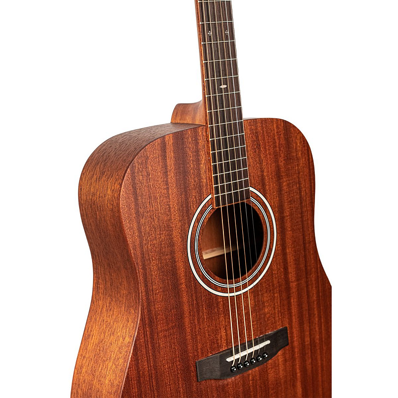 Фото Акустическая гитара Omni D-250M