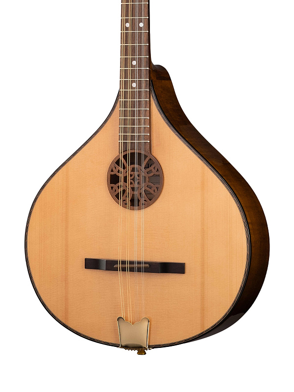 Бузуки Hora M1090 Concert bouzouki купить в Москве, цена 55 121 ₽ в  интернет-магазине Music-Hummer