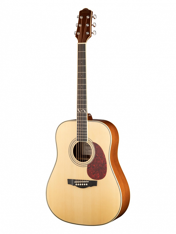 Акустическая гитара Naranda DG303NA в магазине Music-Hummer