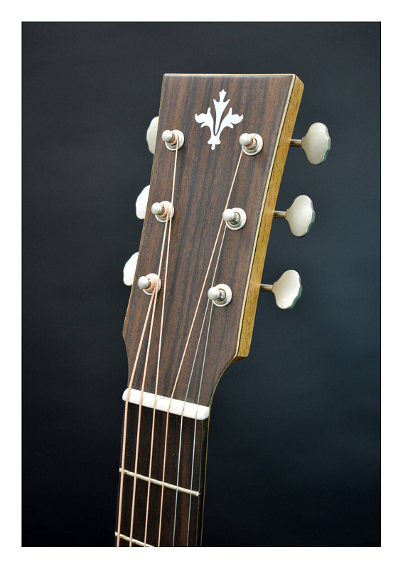 Фото Акустическая гитара TYRONE SILVER OM Walnut