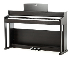 Цифровое пианино Beisite B-808 Pro BN