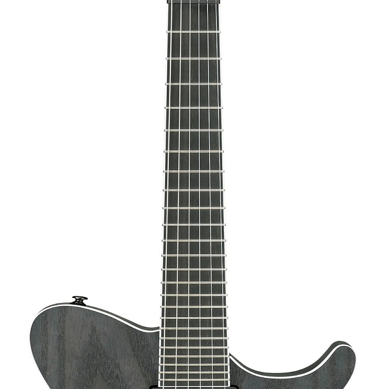 Фото IBANEZ Iron Label FRIX6FEAH