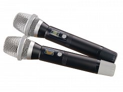 Микрофонная система LAudio LS-Q10-2M