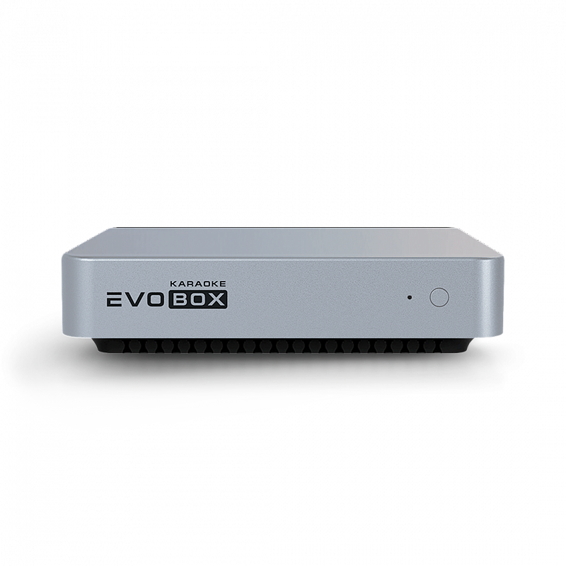 Караоке-система Evolution EVOBOX с 2 микрофонами Silver в магазине Music-Hummer