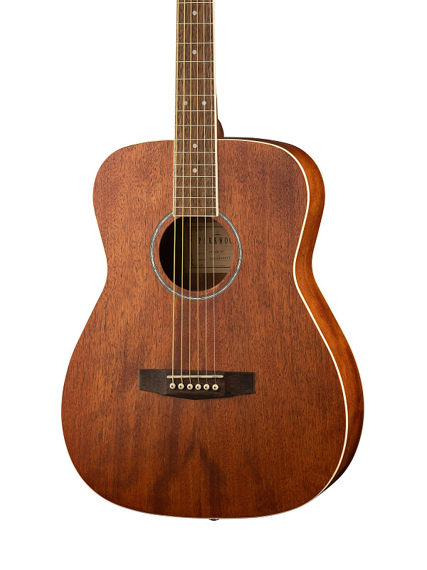 Фото Акустическая гитара Parkwood PF51M-WBAG-OP