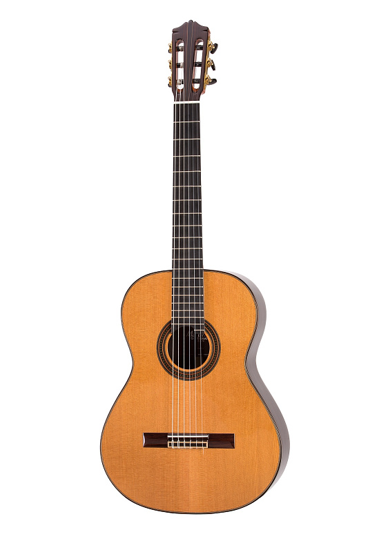 Фото Классическая гитара Martinez MC-128C