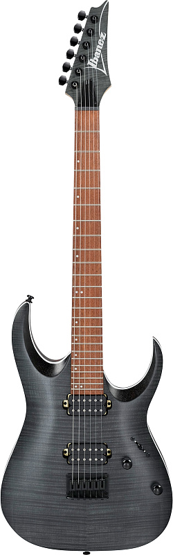 Фото IBANEZ RGA42FM-TGF