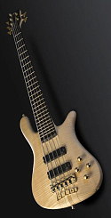 Warwick Streamer Stage1 CL4