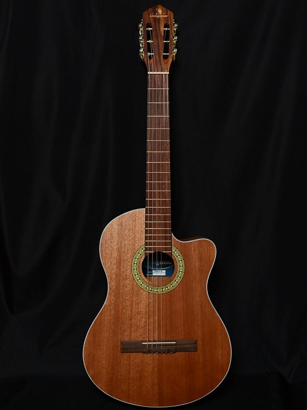 Фото Гитара Livingstone Folkblues NS 39" с вырезом
