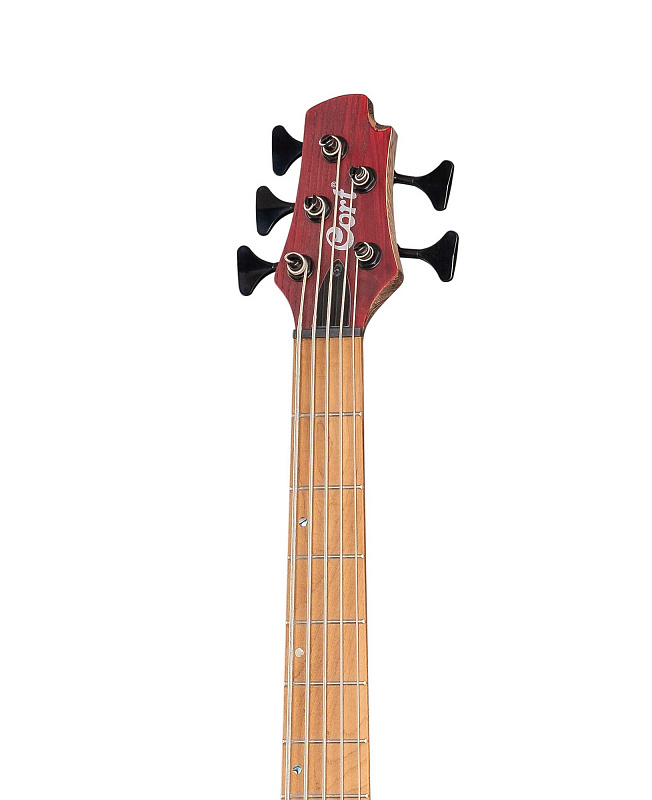 Бас-гитара Cort B5-Element-WBAG-OPBR Artisan Series в магазине Music-Hummer