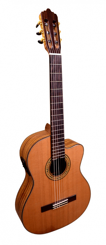 Dowina Marus CLC Классическая гитара со звукоснимателем  в магазине Music-Hummer