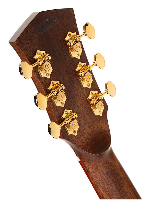 Фото Электроакустическая гитара Cort Gold-A10-Cocobolo-WCASE-NAT Gold Series