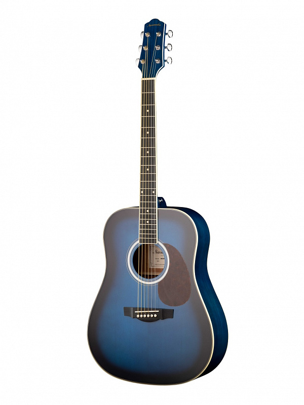 Акустическая гитара Naranda DG220BLS в магазине Music-Hummer