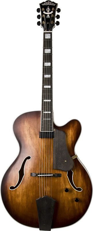 Фото WASHBURN J600