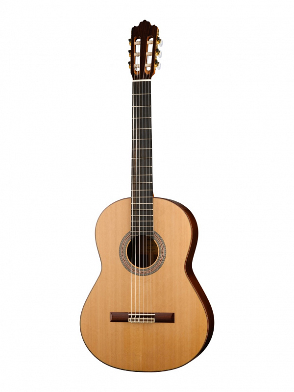 Классическая гитара 4/4 Prodipe JMFSOLOIST700 Soloist 700 в магазине Music-Hummer