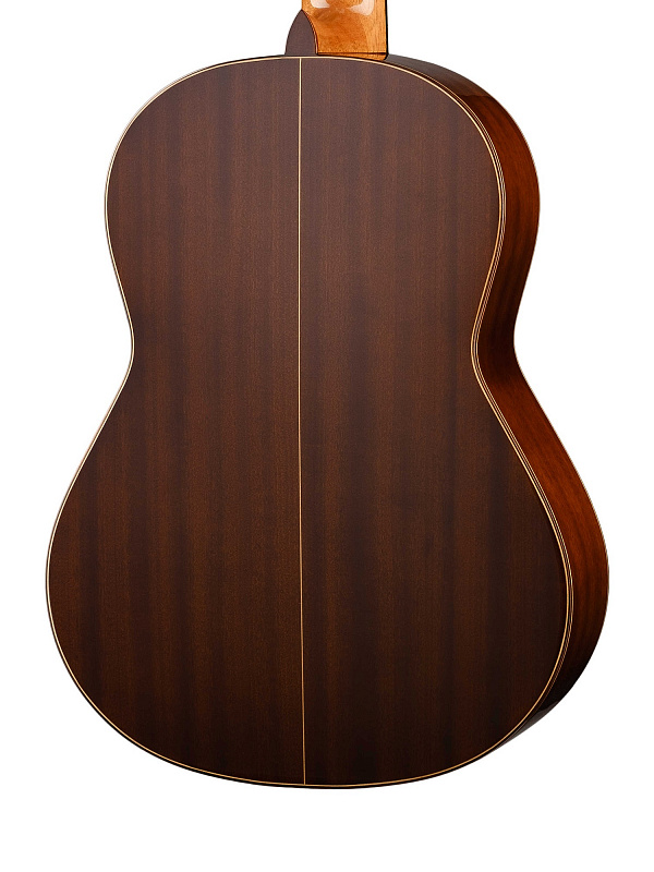 Классическая гитара 4/4 Prodipe JMFSOLOIST700 Soloist 700 в магазине Music-Hummer