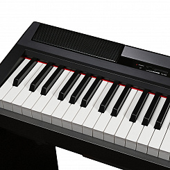 Цифровое фортепиано EMILY PIANO D-20 BK