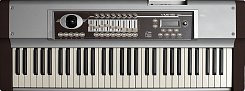 MIDI клавиатура FATAR STUDIOLOGIC VMK 161 PLUS ORGAN
