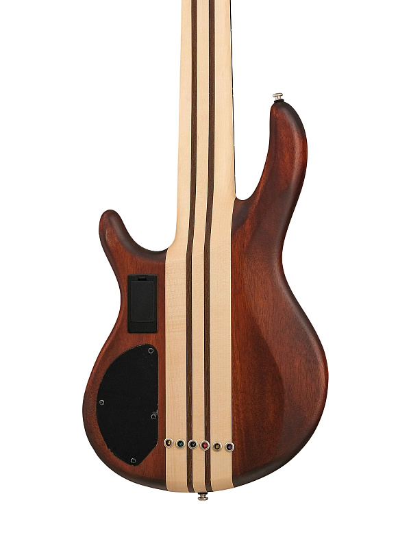 Фото Бас-гитара Cort A6-Plus-FMMH-WBAG-OPN Artisan Series