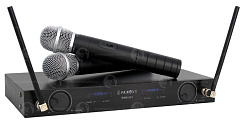 PROAUDIO DWS-212HT