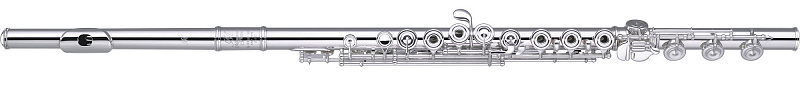 Флейта "C" MIYAZAWA BR-602REH BROGGER SYSTEM Головка MZ-10  в магазине Music-Hummer