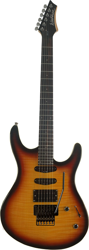 Фото WASHBURN RX25F-WSB