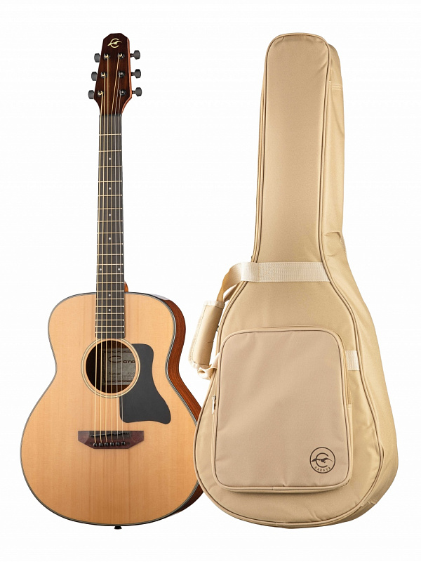 Акустическая гитара Travel Caraya P301210 в магазине Music-Hummer