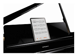 Цифровой рояль Roland GP 6 PE