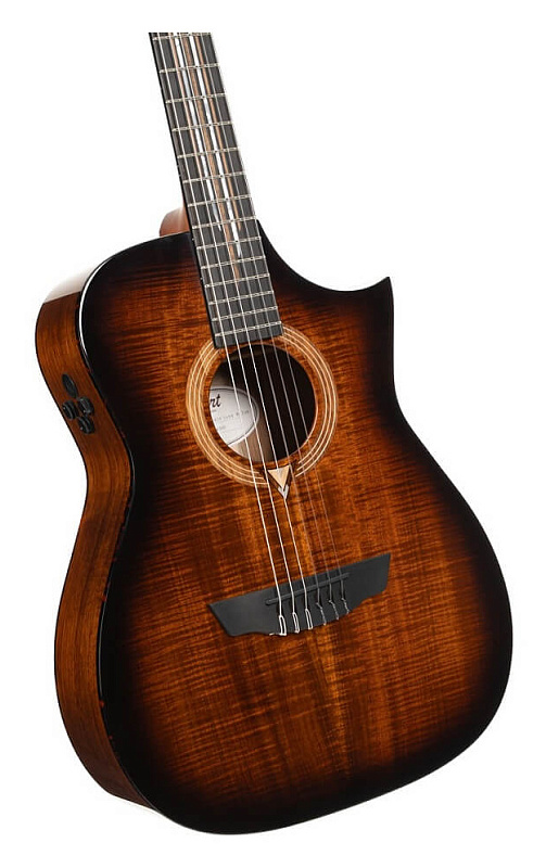 Фото Электроакустическая гитара Cort LUXE-NYLON-II-WCASE-BKB Frank Gambale Series, коричнево-чёрный берст