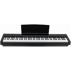Цифровое пианино ARAMIUS APH-120 BK
