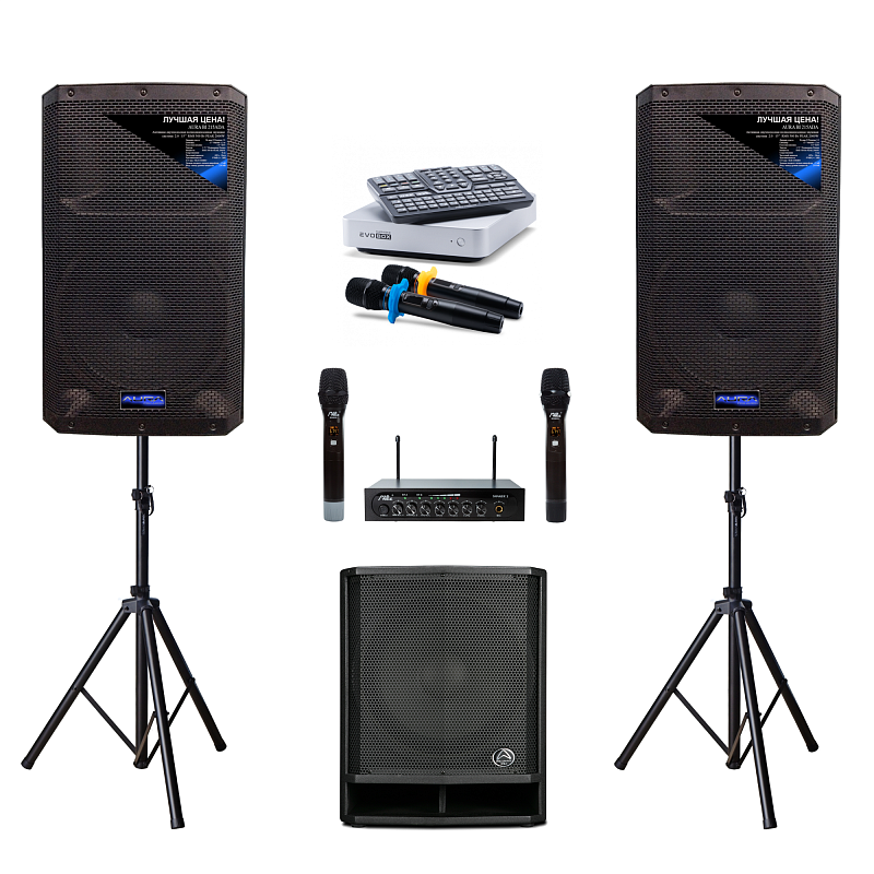 Фото Комплект караоке Evolution Shaker Classic 15th SUB