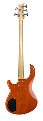 Dean E1 TAM
